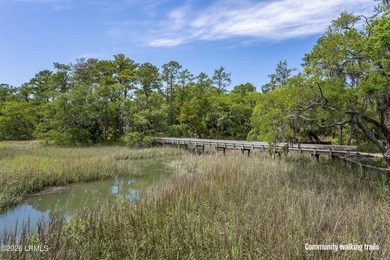 Exceptional interior homesite in Distant Island -- a - photo 24