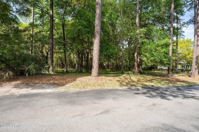 Exceptional interior homesite in Distant Island -- a - photo 28