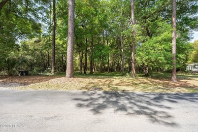 Exceptional interior homesite in Distant Island -- a - photo 29