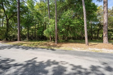 Exceptional interior homesite in Distant Island -- a - photo 30