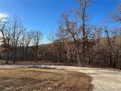 ONE of a kind BEAUTIFUL luxury house sitting on 5.4 acres with - photo 33
