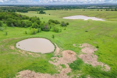 Lake Ray Roberts Acreage For Sale in Valley View Texas