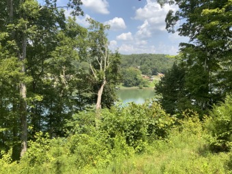 Want lakefront with great channel views.  This one is it!  Great - Lake Lot For Sale in Kingston, Tennessee