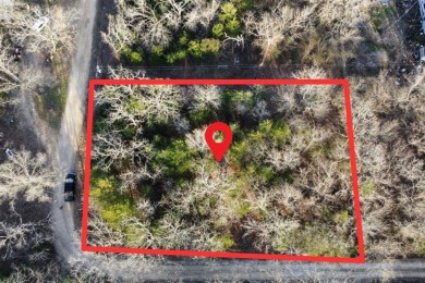 Lake Lot For Sale in Honey Grove, Texas