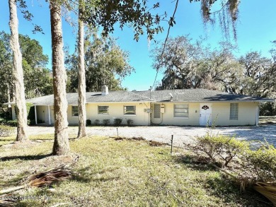 Lake Home For Sale in Mount Dora, Florida