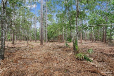Nestled within an attractive established waterfront neighborhood - photo 3