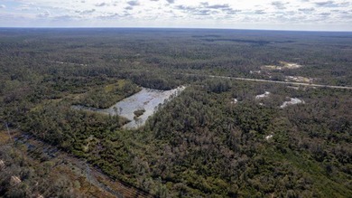 A rare opportunity awaits in the heart of Taylor County - photo 11