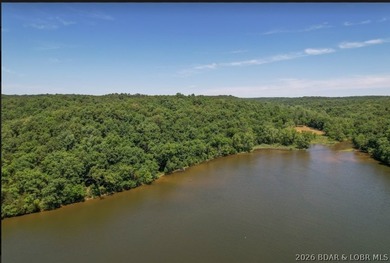 Hunters, and fisher paradise! 2,089' of gentle shoreline & 17.73 - photo 12