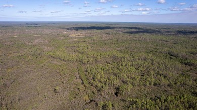 A rare opportunity awaits in the heart of Taylor County - photo 12