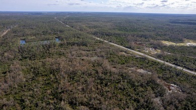 A rare opportunity awaits in the heart of Taylor County - photo 13
