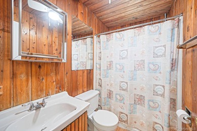 This charming classic 3-bedroom, 2-bath ranch offers comfort - photo 13