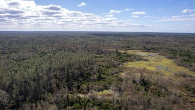 A rare opportunity awaits in the heart of Taylor County - photo 14