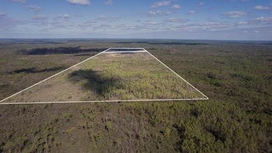 A rare opportunity awaits in the heart of Taylor County - photo 15