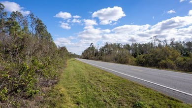 A rare opportunity awaits in the heart of Taylor County - photo 16