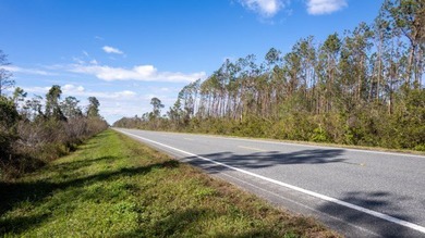 A rare opportunity awaits in the heart of Taylor County - photo 17