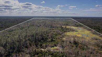 A rare opportunity awaits in the heart of Taylor County - photo 18