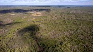 A rare opportunity awaits in the heart of Taylor County - photo 19