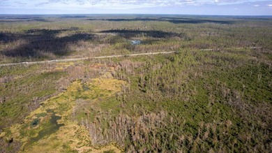 A rare opportunity awaits in the heart of Taylor County - photo 20