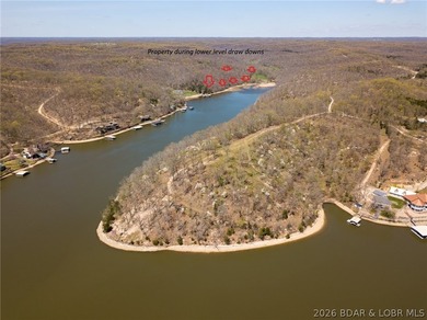 Hunters, and fisher paradise! 2,089' of gentle shoreline & 17.73 - photo 21