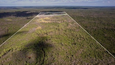 A rare opportunity awaits in the heart of Taylor County - photo 21