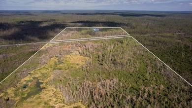 A rare opportunity awaits in the heart of Taylor County - photo 22