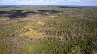 A rare opportunity awaits in the heart of Taylor County - photo 23