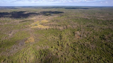 A rare opportunity awaits in the heart of Taylor County - photo 24