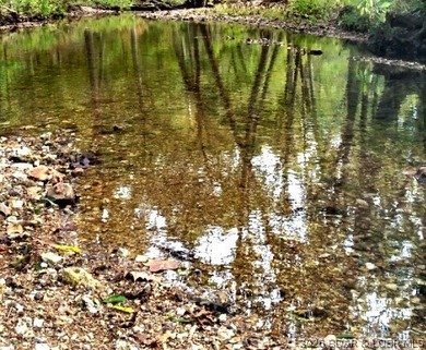 Hunters, and fisher paradise! 2,089' of gentle shoreline & 17.73 - photo 25