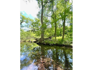 Hunters, and fisher paradise! 2,089' of gentle shoreline & 17.73 - photo 26