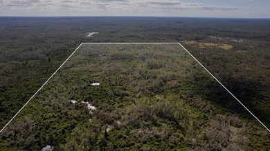 A rare opportunity awaits in the heart of Taylor County - photo 26