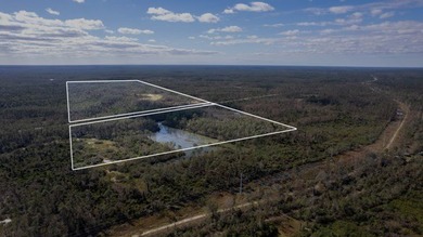 A rare opportunity awaits in the heart of Taylor County - photo 27