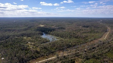 A rare opportunity awaits in the heart of Taylor County - photo 28