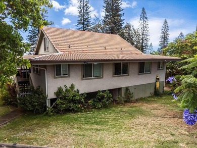 Breathtaking West Maui Mountain & Ocean Views! Welcome to your - photo 28