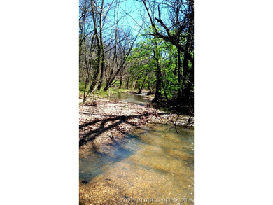 Hunters, and fisher paradise! 2,089' of gentle shoreline & 17.73 - photo 30