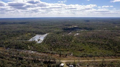 A rare opportunity awaits in the heart of Taylor County - photo 30