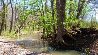 Hunters, and fisher paradise! 2,089' of gentle shoreline & 17.73 - photo 31