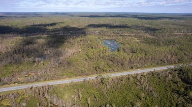 A rare opportunity awaits in the heart of Taylor County - photo 31