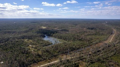 A rare opportunity awaits in the heart of Taylor County - photo 32