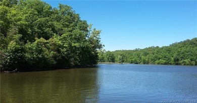 Hunters, and fisher paradise! 2,089' of gentle shoreline & 17.73 - photo 33