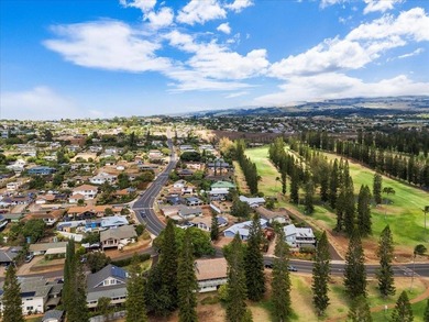 Breathtaking West Maui Mountain & Ocean Views! Welcome to your - photo 34