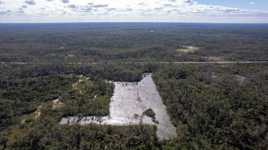 A rare opportunity awaits in the heart of Taylor County - photo 35