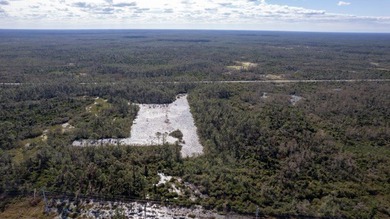A rare opportunity awaits in the heart of Taylor County - photo 37