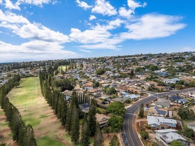 Breathtaking West Maui Mountain & Ocean Views! Welcome to your - photo 37