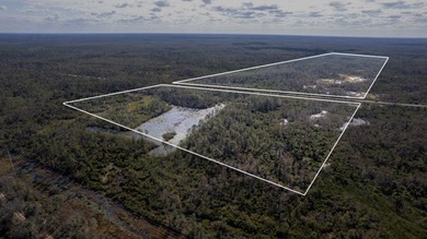 A rare opportunity awaits in the heart of Taylor County - photo 38