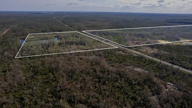 A rare opportunity awaits in the heart of Taylor County - photo 39