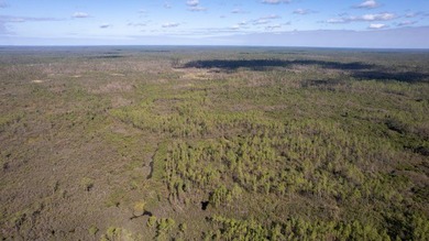 A rare opportunity awaits in the heart of Taylor County - photo 40
