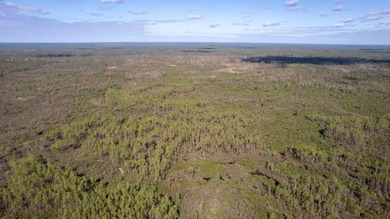 A rare opportunity awaits in the heart of Taylor County - photo 41