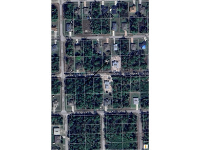 Lehigh Acres Area Lot For Sale in Lehigh Acres Florida