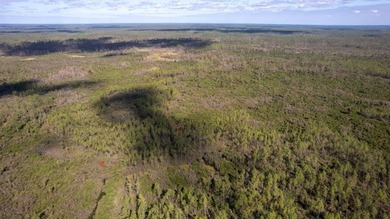 A rare opportunity awaits in the heart of Taylor County - photo 42