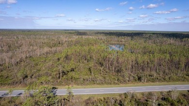 A rare opportunity awaits in the heart of Taylor County - photo 44
